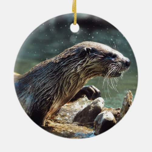 River Otter Animal_lovers Wildlife Photo Ceramic Ornament