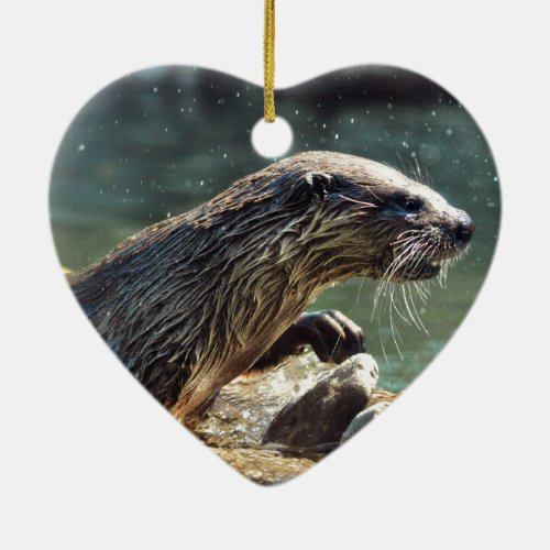 River Otter Animal_lovers Wildlife Photo Ceramic Ornament