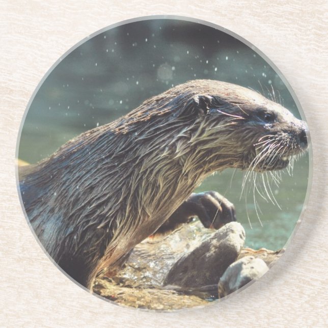 River Otter Animal-lover's Wildlife Photo Drink Coaster (Front)