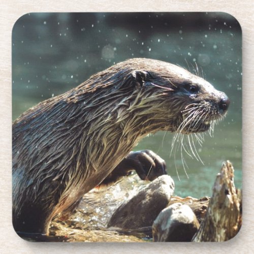 River Otter Animal_lovers Wildlife Photo Drink Coaster