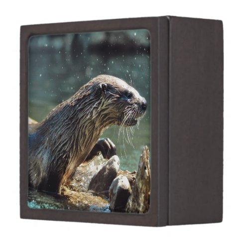 River Otter Animal_lovers Wildlife Photo Jewelry Box