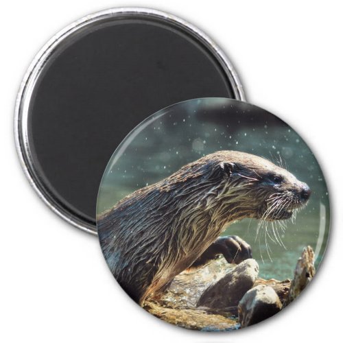 River Otter Animal_lovers Wildlife Photo Magnet