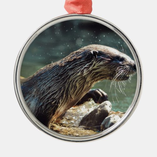 River Otter Animal_lovers Wildlife Photo Metal Ornament