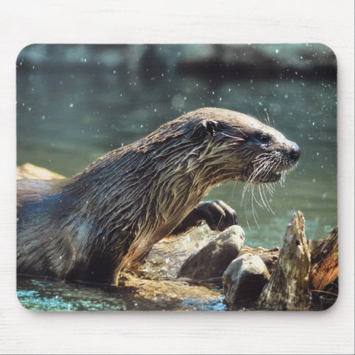 River Otter Animal_lovers Wildlife Photo Mouse Pad