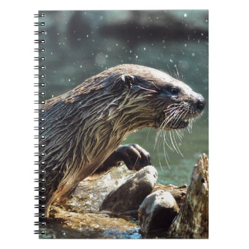 River Otter Animal_lovers Wildlife Photo Notebook