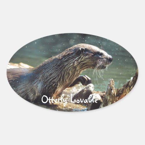River Otter Animal_lovers Wildlife Photo Oval Sticker