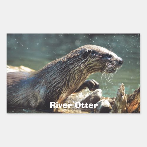 River Otter Animal_lovers Wildlife Photo Rectangular Sticker