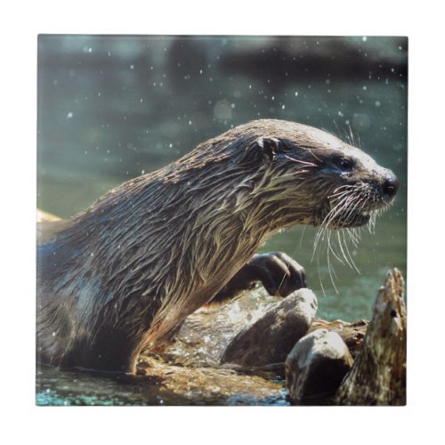 River Otter Animal_lovers Wildlife Photo Tile