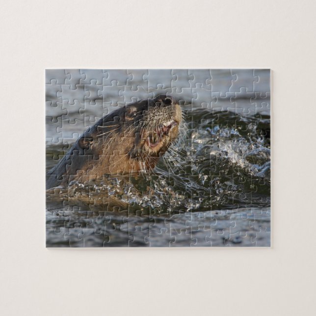 river otter jigsaw puzzle (Horizontal)