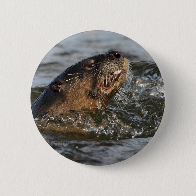 river otter pinback button (Front)