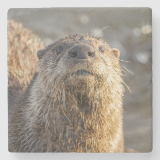 River Otter Portrait Stone Coaster