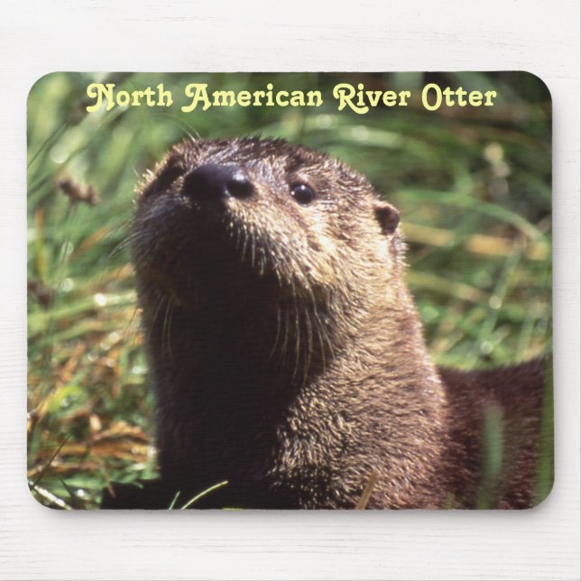 River Otter Up Close and Personal Mousepad (Front)