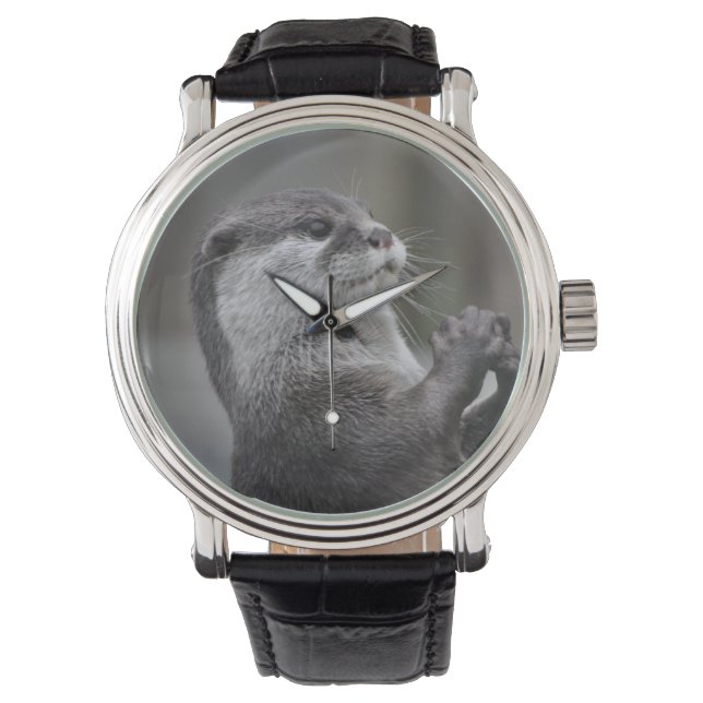 River Otter Watch (Front)