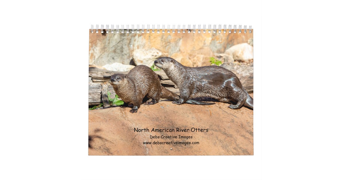 River Otters 2024 Calendar Zazzle
