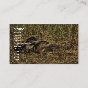 River Otters Business Card