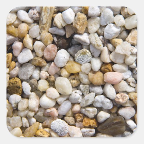 River Pebbles Rocks in Brown Gray and White Square Sticker