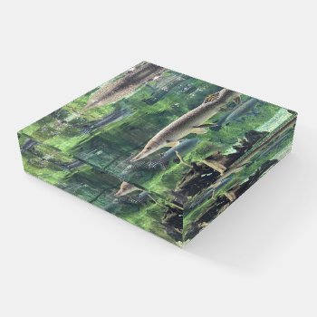 River Pike Fish  Paperweight by beachcafe at Zazzle