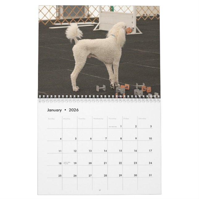River Poodles 2013 Calendar (Jan 2026)