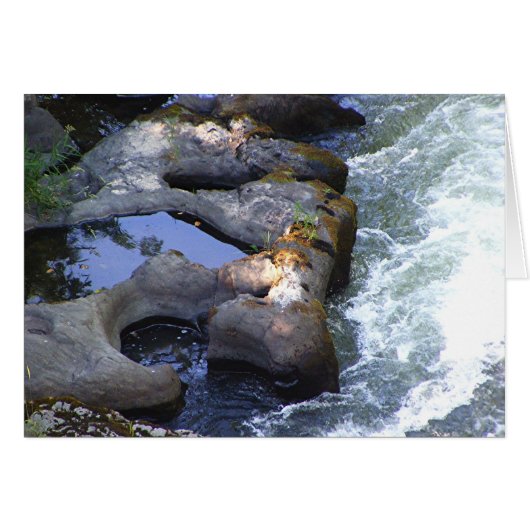 River Pools Cards (Front Horizontal)
