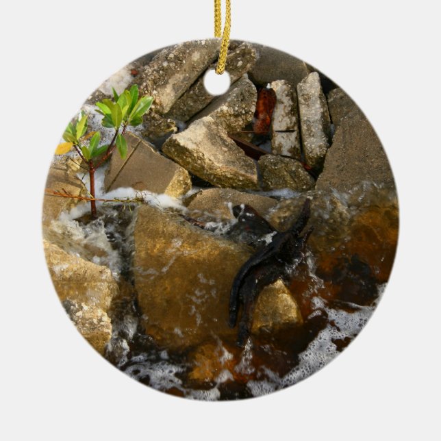 River Rocks Cement Blocks and Mangrove Seedling Ceramic Ornament (Front)
