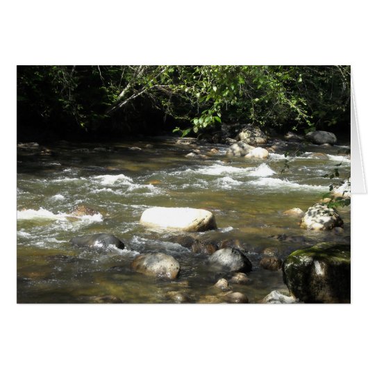 River Scene Cards (Front Horizontal)