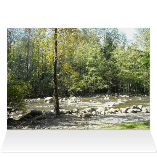 River Scene Cards (Inside Horizontal (Top))
