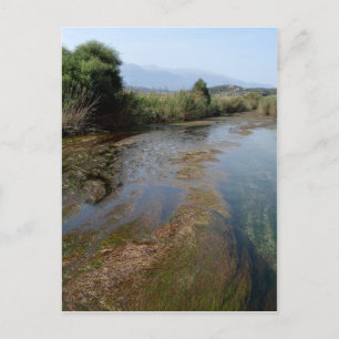 River Scene Postcard