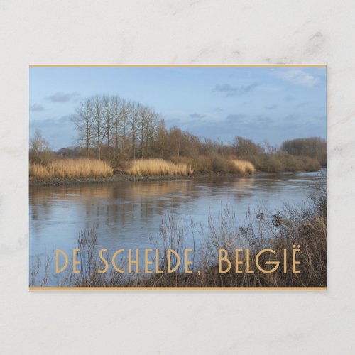 River Scheldt View Dendermonde Belgium Postcard
