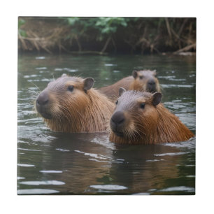 "River Serenity: Capybaras Swimming in the Flow" Ceramic Tile