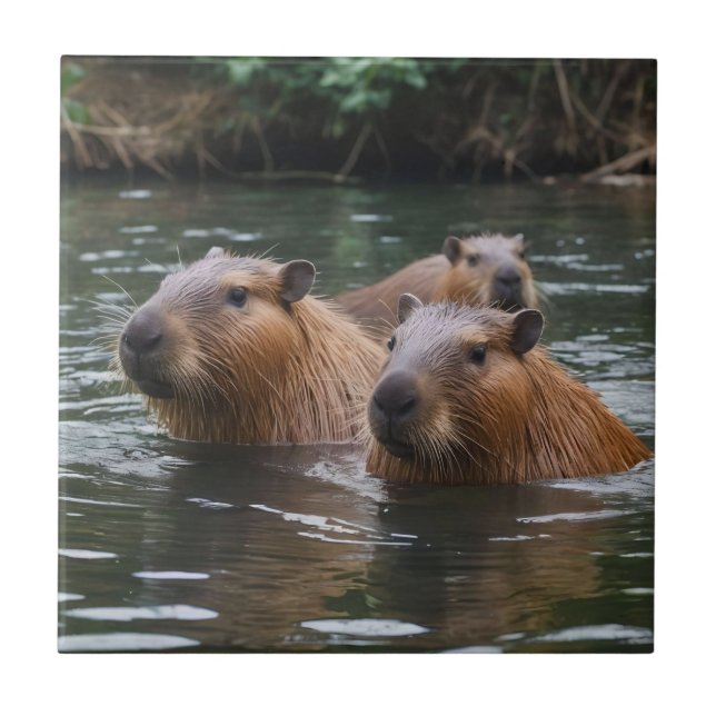 "River Serenity: Capybaras Swimming in the Flow" Ceramic Tile (Front)