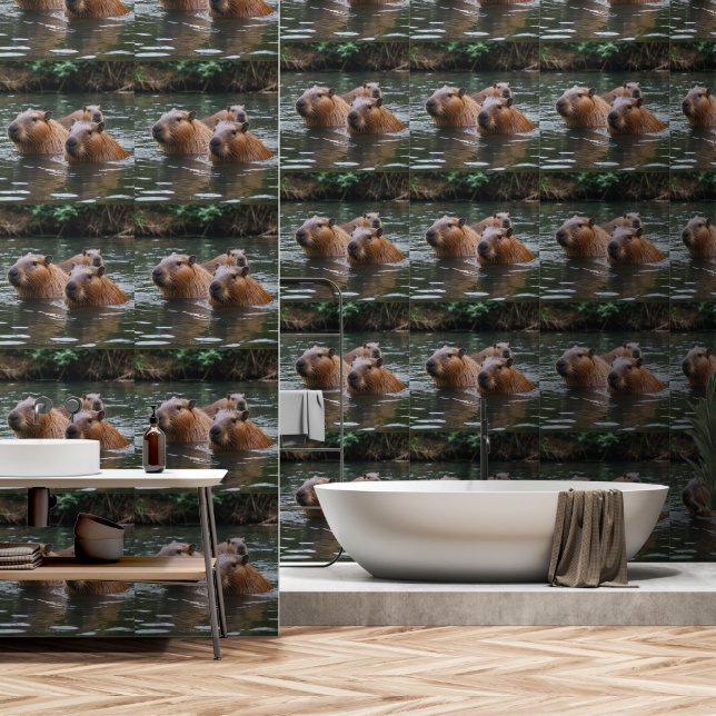 "River Serenity: Capybaras Swimming in the Flow" Wallpaper (Bathroom)