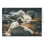 River Shadows Cards (Front Horizontal)