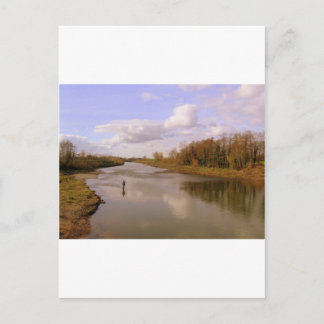 River Shannon Postcard