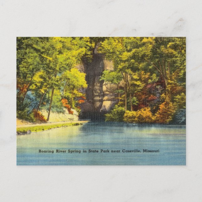 River Spring State Park, Cassville, Missouri Postcard (Front)