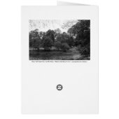 River Taff at Bute Park, Cardiff - BW (Back)