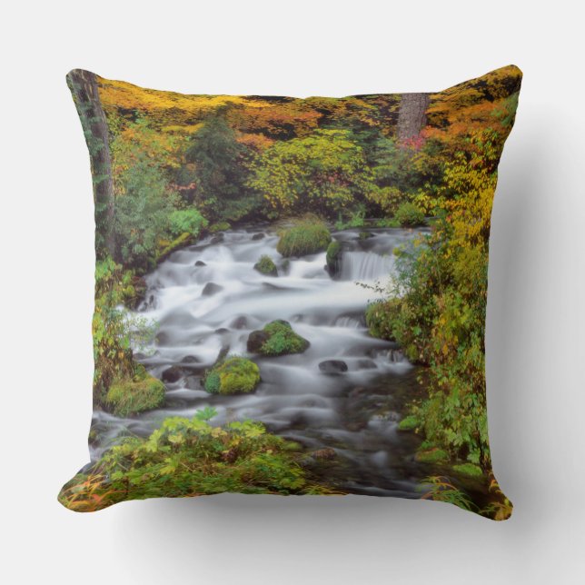 River through forest, Fall, Oregon Throw Pillow (Front)