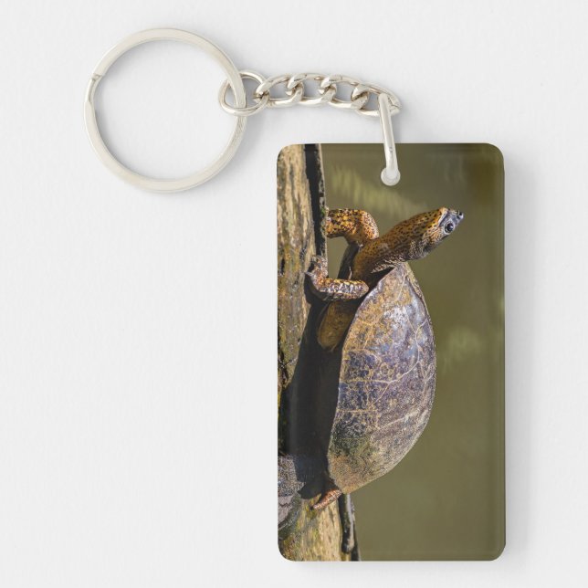 River Turtle at Tortuguero - Costa Rica Keychain (Front)