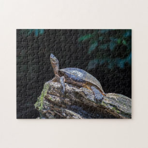 River Turtle sunbathing at Tortuguero - Costa Rica Jigsaw Puzzle