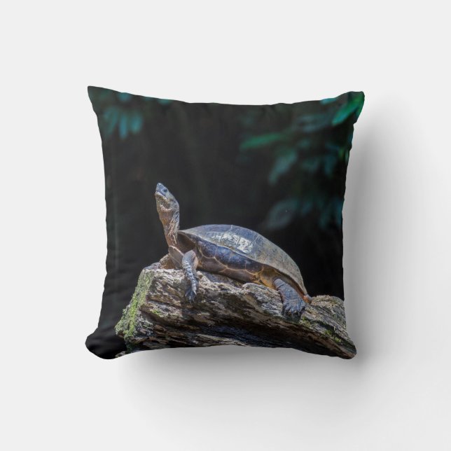 River Turtle sunbathing at Tortuguero - Costa Rica Throw Pillow (Front)