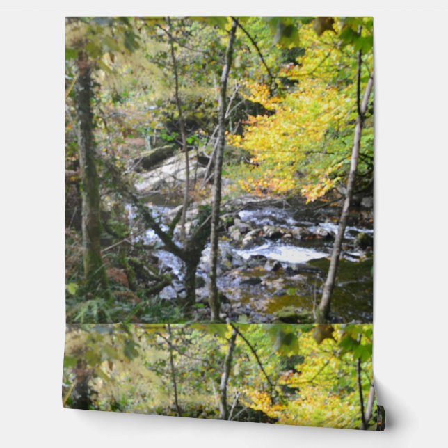 river wallpaper  (Unrolling)