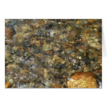 River-Worn Pebbles Brown and Grey Natural Abstract