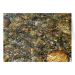 River-Worn Pebbles Brown and Grey Natural Abstract Cards