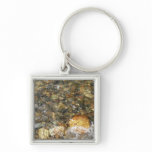River-Worn Pebbles Brown and Grey Natural Abstract Keychain