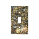 River-Worn Pebbles Brown and Grey Natural Abstract Light Switch Cover