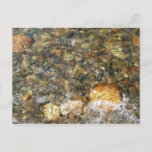 River-Worn Pebbles Brown and Grey Natural Abstract Postcard