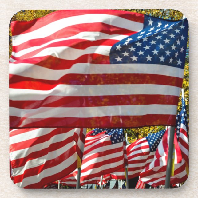 Riverdale, New York, USA. Wine country Drink Coaster (Front)