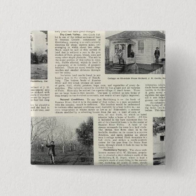 Riverdale Prune Orchard, California Pinback Button (Front)