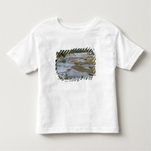 Rivers run through a lowland section of Jasper Toddler T_shirt