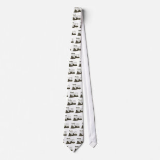 Riverside Amusement Park (now Six Flags: NE) Neck Tie