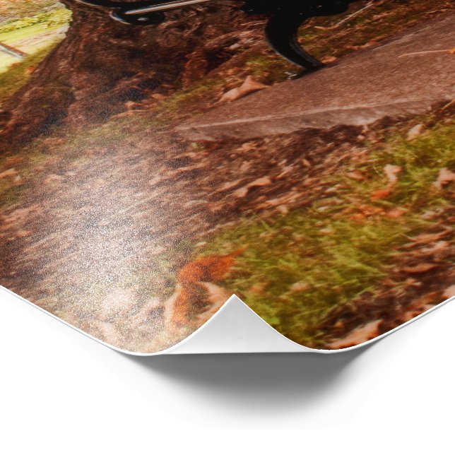 Riverside Park Benches Photo Print (Corner)